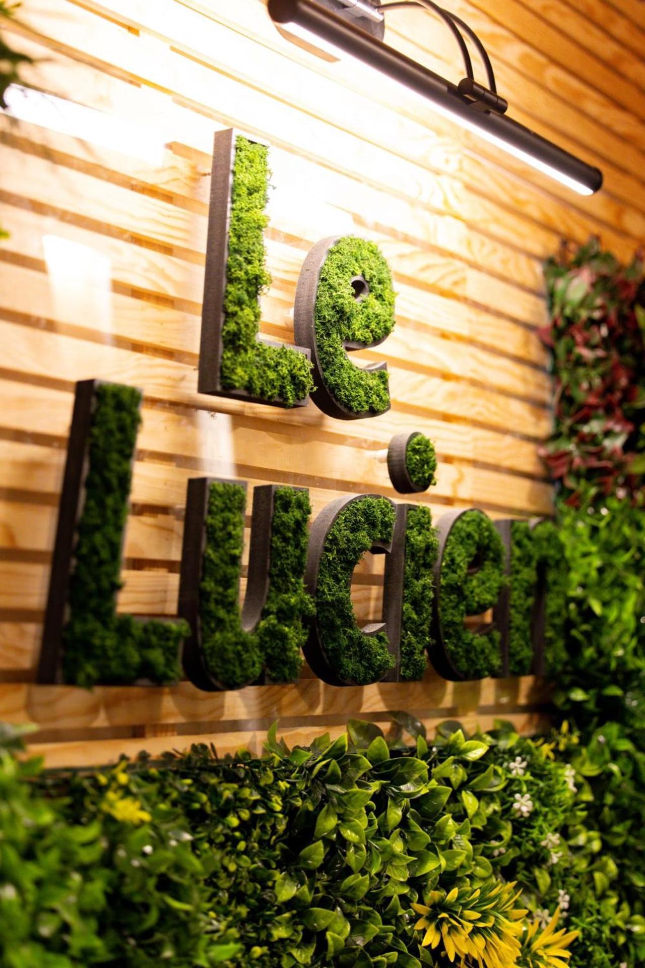 Le Lucien Eco-Appart'Hotel - Angouleme - Centre - Wifi - Parking Prive - Classe 4 Etoiles Ngoại thất bức ảnh
