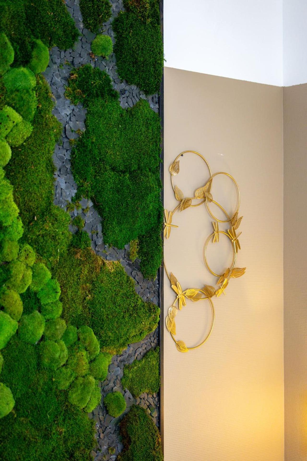 Le Lucien Eco-Appart'Hotel - Angouleme - Centre - Wifi - Parking Prive - Classe 4 Etoiles Ngoại thất bức ảnh